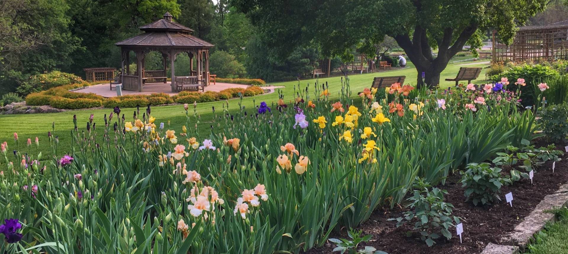 Home - Dubuque Arboretum