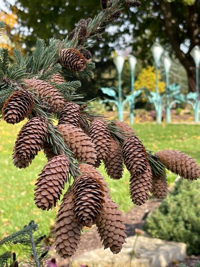 Walking + Hiking + Biking - Dubuque Arboretum