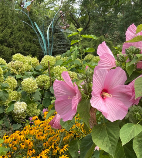 arboretum garden tour